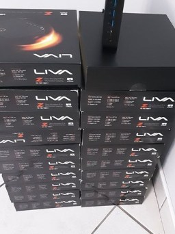 liva_z